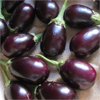 Çiğ yenildiğinde zehirlenmelere sebep oluyor