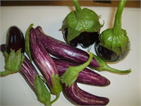 Patlıcan damarları yüksek kolesterolün yarattığı kötü etkilerden koruyor