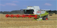 Claas Lexion 570 Biçerdöver Buğday Hasadı