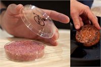 Aynı gerekçeler tüketici açısından da geçerli ama onlar tükettikleri yiyeceklerde bu tür maddelerin kullanıldığından çoğunlukla habersiz