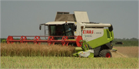 Claas Lexion 560 Yonca Harman