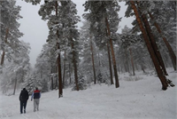 Sarıkamış beyaza büründü