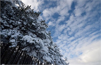 Sarıkamış beyaza büründü