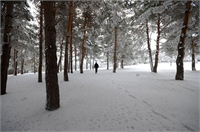 Sarıkamış beyaza büründü