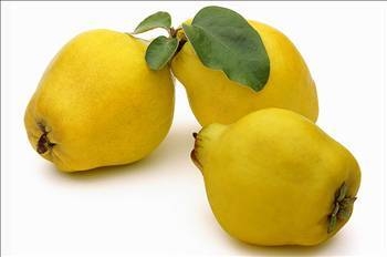 Ayva A B1 B2 C vitamini içerir Ağız kokusunu giderir Kusmayı önler İshale iyi gelir