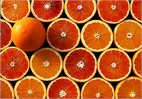 Portakal Kış aylarının en çok tüketilen meyvelerinden portakal C vitamini yönünden oldukça zengindir Bağışıklık sistemimizi güçlendirerek bizi hastalıklara karşı korur Portakal içerdiği A B1 B2 P vitaminleri potasyum kalsiyum ve magnezyum yönünden de zengindir