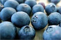 Bir tür polifenol olan antosiyanin kadınlarda kalp krizi riskini üçte bir oranında azaltıyor Yaban mersininin kalorisi ise çok düşüktür