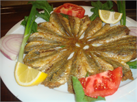 Nişasta ve yağların parçalanarak vücutta kullanılmasına yardım eder