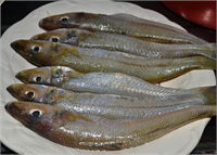 Bedene güç ve enerji verir Zihin yorgunluğunu giderir