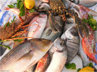 Kandaki kolesterolü düzenleyici etkisiyle kalp krizinin önlenmesinde önemli rol oynar