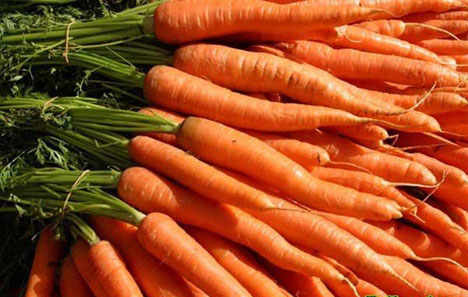 Havuç Provitamin A karoten açısından zengin olan havuç antioksidan olarak da çok önemlidir ve kalp hastalıkları ve bazı kanser çeşitlerinden korur