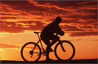 Egzersiz ya da spor yapın Beyninizi şarj etmenin en verimli yollarından biri egzersizdir Daha fazla odaklanmanıza ve disiplinli hareket etmenize yardım eder ve uzun sürede beyninizin strese karşı kendisini daha hızlı toparlamasına yardımcı olur