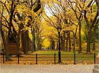 New York Central Park ABD