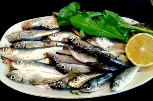Sardalye Bu küçük balıkta şaşırtıcı derecede bol miktarda D vitamini ve kalsiyum bulunuyor Baş tarafındaki kılçıklar yüzünden fazla seveni olmasa da ızgarası oldukça lezzetlidir