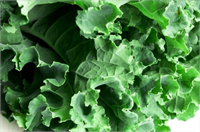 Koyu yeşil renkli sebzeler Ispanak karal hana gibi yeşil yapraklı sebzeler kalsiyumla doludur Bir tabak pişmiş koyu yeşil yapraklı sebze günlük kalsiyum ihtiyacınızın yüzde 25 inden fazlasını karşılıyor