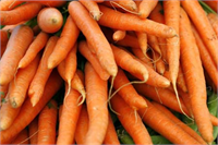 Havuç Karotenoid ile dolu olan havuç kanser ile astım ve romatoid eklem iltihabı gibi iltihaplı hastalıkların riskini azaltmada faydalıdır