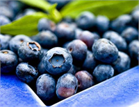 Bu meyve kardiyovasküler sağlığı destekleyen A ve C vitaminleri bakımından zengindir