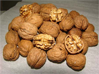 Ceviz sevmiyorsanız bunun yerine badem yer fıstığı Avustralya fındığı yiyebilirsiniz