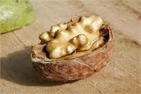 Cevizi salatalarda kurabiyelerde tavuğa ya da balığınıza ekleyerek tüketebilirsiniz