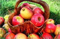 Tarım ilacı kalıntıları en çok olduğu meyve ve sebzeler