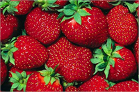 Çilek Bu yılın kirliler listesinde çilek en çok tarım ilacı bulaşmış olan ikinci meyve oldu