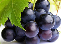 Üzüm Meyve ve sebzeleri test eden uzmanlar tek bir üzüm tanesinde 15 farklı tarım ilacı belirlediler