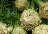 Kereviz Birçok insanın sevmediği kerevizde ise 13 farklı tarım ilacı bulunabildiği tespit edildi