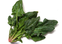 Ispanak Bu yılın kirliler listesine göre en fazla tarım ilacı içeren ikinci sebze ıspanak oldu