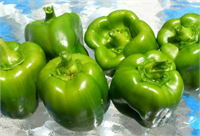 Dolmalık biber Üzüm gibi tek bir dolmalık biberde 15 tarım ilacı kalıntısı bulundu