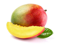 MANGO Son zamanlarda daha fazla tüketilmesine karşın aslında besin değeri açısından diğer meyvelerden daha önemlidir Özellikle böbrek sağlığı için önem arz eden mango aynı zamanda kabızlık sıkıntısı yaşayan bireyler içinde tüketilmesi gereken besinlerdendir Bir porsiyon içerisinde zengin miktarda A vitamini ve potasyum bulunmasına ek olarak folik asit c vitamini kalsiyum magnezyum ve fosfor bulunmaktadır