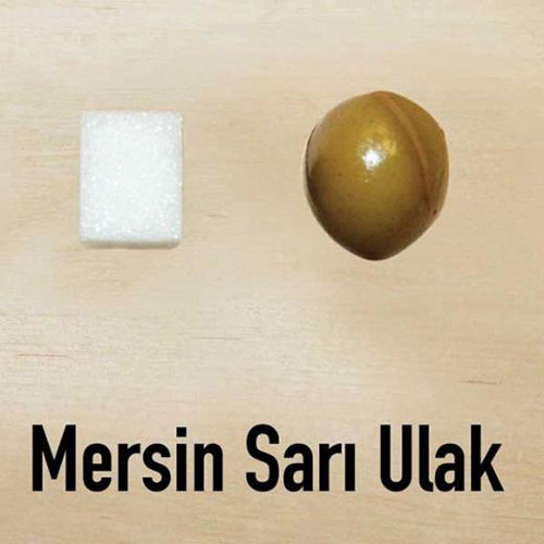 Mersin sarı ulak Siyah ve yeşil sofralık olarak değerlendiriliyor Meyvesi orta irilikte İçel in Merkez Erdemli Gülnar ve Adana nın Seyhan Kozan Yumurtalık ilçelerinde yetiştiriliyor Toplam ağaç sayısının 500 bin civarında olduğu tahmin ediliyor