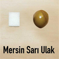 Mersin sarı ulak Siyah ve yeşil sofralık olarak değerlendiriliyor Meyvesi orta irilikte İçel in Merkez Erdemli Gülnar ve Adana nın Seyhan Kozan Yumurtalık ilçelerinde yetiştiriliyor Toplam ağaç sayısının 500 bin civarında olduğu tahmin ediliyor