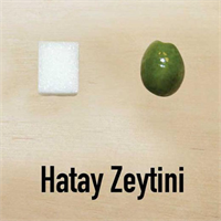 Hatay zeytini Sarı Haşebi yağlık ve siyah sofralık olarak değerlendiriliyor Ama verimi düşük ve hurma oluşumu görülebiliyor Saurani ise yağ bakımından zengindir ve yağlık olarak değerlendirilir