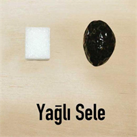 Yağlı sele İri siyah ve sulu bir zeytin türü Toplandıktan sonra bir kat kaya tuzu bir kat zeytin olarak selelerde bekletiliyor Bu işlem çoğunlukla bir tülbent içinde yapılıyor