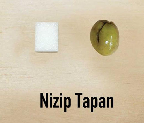 Nizip tapan Anadolu coğrafyasında yetişen en eski zeytin ağacı türü Asidi yüksek olduğu için genellikle yağlık olarak tercih ediliyor ama sofralık olarak tüketimi de yaygın