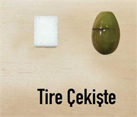 Tire çekişte Şimdilerde bütün kırma zeytinlere çekişte adı veriliyor bu yanlış Tire çekişte eğri çekirdeğiyle ayırt ediliyor Eskiden Tire civarında yaygın üretimi vardı Hızla kaybettiğimiz bir tür