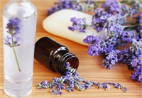 12 Saç kepeği Saç derinize birkaç damla lavanta yağı sürerek kepekleri azaltın