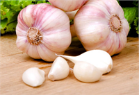 Sedef hastalığını hafifletir Anti iflamatuar özelliği sayesinde sedef hastalığını hafifletir Etkilenen bölgelere sarımsak yağı sürün