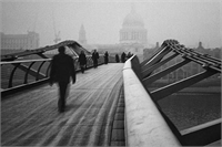 Ödüllü fotoğraflar