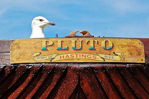 Ödüllü fotoğraflar