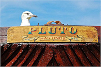 Ödüllü fotoğraflar