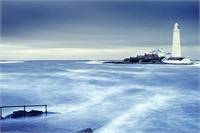 Ödüllü fotoğraflar