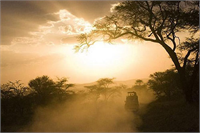 Ödüllü fotoğraflar