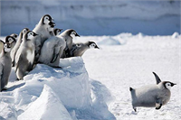 Ödüllü fotoğraflar