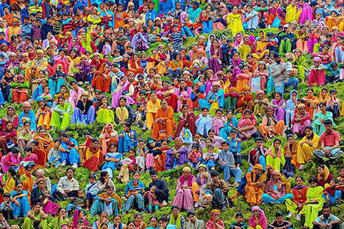 Ödüllü fotoğraflar
