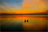 Ödüllü fotoğraflar