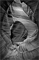 Ödüllü fotoğraflar