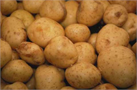 Karbonhidrat tüketin Ekmek patates kahvaltı gevreği gibi tahıllar yüksek karbonhidrat içerdiklerinden enerji vericidirler Bu tür sağlıklı yiyecekleri düzenli olarak ama miktarını abartmadan tüketin ki enerji almak için sağlıksız atıştırmalıklara başvurmanıza gerek kalmasın