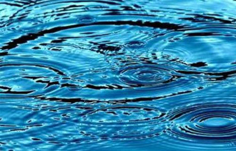 İşte Kilo vermek için hangi besinlere ağırlık vermeliyim sorusunun cevabı Su Suyun süper besin olarak kabul edilmesinin en önemli nedeni 0 kalori olmasıdır Eğer yüksek kalori içeren içeceklerden tüketirseniz bunu dengeleyebilmek için daha az yemek zorunda kalırsınız Araştırmalar gösteriyor ki karbonhidratları içmektense yemek daha iyidir Su tüm vücut fonksiyonları için önem taşır ve günün her saatinde tüketilebilir Suyunuzu sade olarak içmekten hoşlanmı yorsanız içinde taze meyve dilimleri bekleterek tüketebilirsiniz