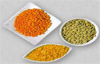 Kuru baklagiller Kuru baklagiller içeriğindeki lifler dolayısıyla kendinizi tok hissetmenizi daha çabuk sağlar 1 5 bardak barbunya yaklaşık 8 gram lif 7 gram protein ve yaklaşık 110 kalori içerir Baklagilleri yemek olarak tüketebileceğiniz gibi haşlayıp salata ve çorbalarınızın içine de ekleyebilirsiniz